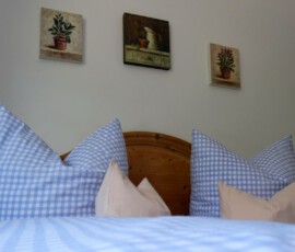DSC00501