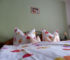 DSC00534