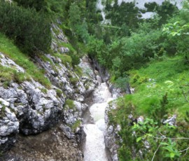 IMG_0094