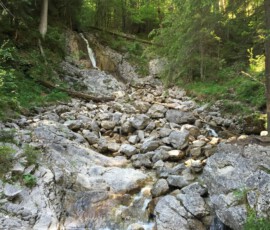 IMG_5464
